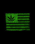 United States Of Cannabis Digital Art by Flippin Sweet Gear