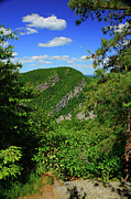 Vertical Nature Framed Mount Tammany Photograph by Raymond Salani III