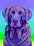 Vibrant Chocolate Labrador Retriever Dog Painting by Rebecca Wang