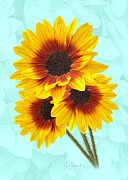 Vibrant Sunflower Trio Photograph by Sue Leonard