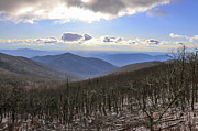 View from Apple Orchard Mountain Photograph by Deb Beausoleil