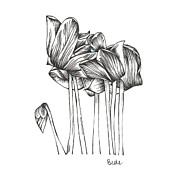 Wake Up In Paradise Drawing by Catherine Bede