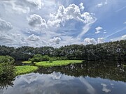 Wakotahatchee 245 Photograph by David McKinney