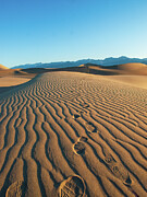 Walk This Way. No. This Way. Photograph by Joe Schofield