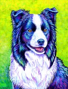 Watchful Eye - Colorful Border Collie Dog Painting by Rebecca Wang