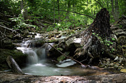 Waterfall Cascading into a Pool in a Forest Photograph by John Twynam