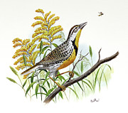 Western Meadowlark and Goldenrod Painting by Don Balke