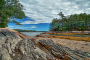 What a View Photograph by Penny Polakoff