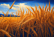Wheat field under a blue sky - limited color palette painting Digital Art by Nicko Prints