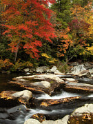 Where Color Runs Deep Photograph by Dodie Ross