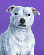 White Staffordshire Bull Terrier Dog Painting by Rebecca Wang