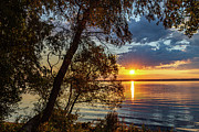 Who Needs the Tropics Photograph by William Norton