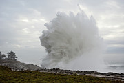 Wild Crashing Waves Photograph by Diane Moller