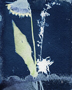 Wildflower Arrangement Photograph by Elizabeth Reich