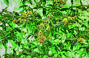 Wildflowers in the rain Digital Art by Bruce Block