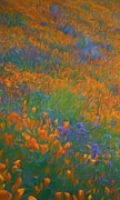 Wildflowers Painting Digital Art by Rebecca Herranen