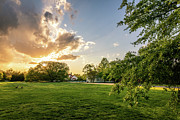Williamsburg Sunset Field Photograph by Rachel Morrison