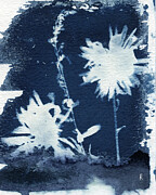 Wind and Root, Dandelions and Smartweed Photograph by Elizabeth Reich