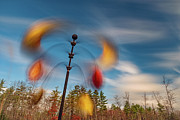 Wind Through The Garden Photograph by Jeff Sinon