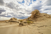 Windblown Dunes in Christmas Valley - Central Oregon Desert Photograph by Mike Lee