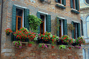 Window Flower Boxes Photograph by Matthew DeGrushe