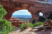 Windows at Arches National Park Photograph by Diane Moller