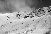 Winter Adventurer, Tuckerman Ravine Photograph by Jeff Sinon