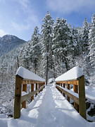 Winter Bridge Photograph by Sunniye Buesing