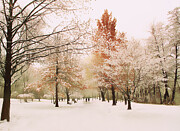 Winter Park Photograph by Jessica Jenney