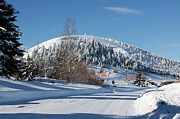 Winter Scene in Spencer Idaho - Opal Mines Road Photograph by Tatiana Travelways