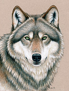 Wolf with Eyes of Fierce Green Fire Drawing by Rebecca Wang