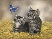 Wonderment Pastel by Marlene Little