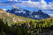 Yosemite Mountains Photograph by David Fountain