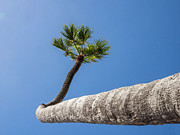 You Can Go Your Own Way Photograph by Joe Schofield