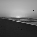 Placid Sunrise BW