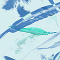 Blue toned artistic feather abstract