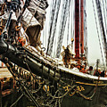 Bluenose