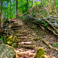 Boreman Hill Trail