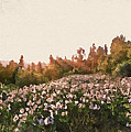 Bucolic Paradise - 18 Painting by AM FineArtPrints