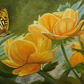 Butterfly Among Yellow Flowers