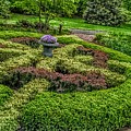 Celtic Topiary at Frelinghuysen Arboretum