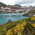 Columbine Lake and Alpine Sunflower Landscape by Cascade Colors