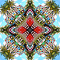 Cuban Kaleidoscope