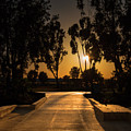 Dominguez Hills Sunset