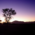 Early in the morning Photograph by Alberto Audisio