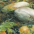 Elbow River Rocks 2