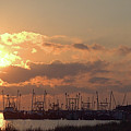 Fleet