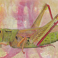 Grasshopper by Marie Stone-van Vuuren