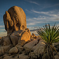 Joshua Tree Rock Formation