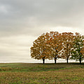Midwest Photograph by Steve L'Italien